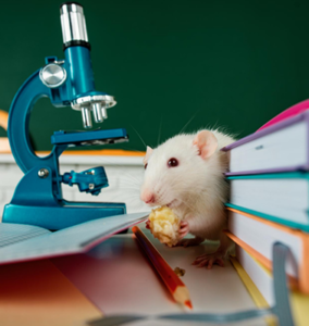 What If Humans Had Discovered Electricity 1,000 Years Earlier?